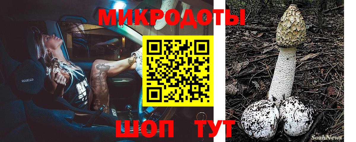 Галлюциногенные грибы прущие грибы Новокуйбышевск