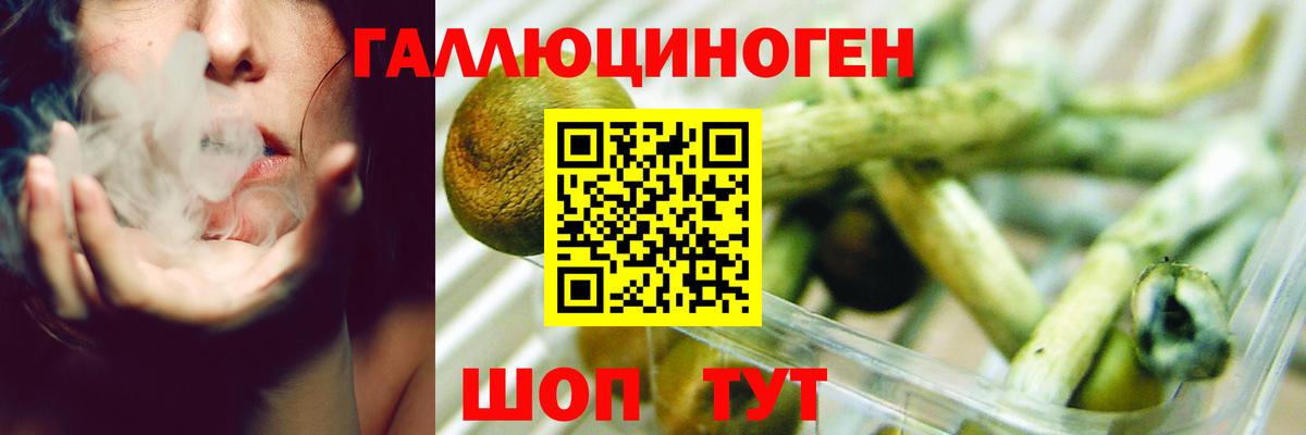 Галлюциногенные грибы Psilocybine cubensis  Вход с VPN  Новокуйбышевск 